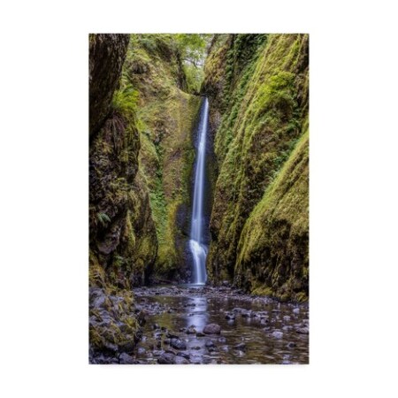 Trademark Fine Art Pierre Leclerc 'Lower Oneonta Falls' Canvas Art, 12x19 PL00450-C1219GG